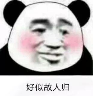 抖音小生不才小女子不才抖音表情包汇总