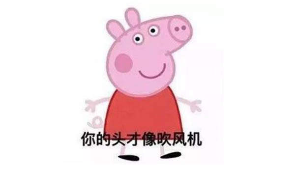 【抖音小猪佩奇吹风机】吹风机社会猪为什么火