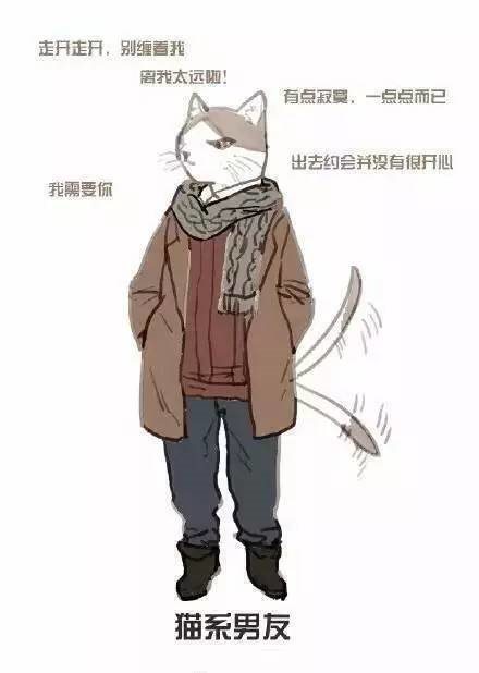 猫系男友是什么梗_猫系男友是什么意思