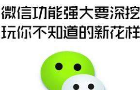 iefans网