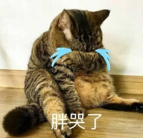 胖若两人是什么梗_胖若两人是什么意思出处