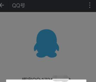 iefans网