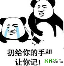抖音熊猫头打爆你的头让你记仇表情包无水印