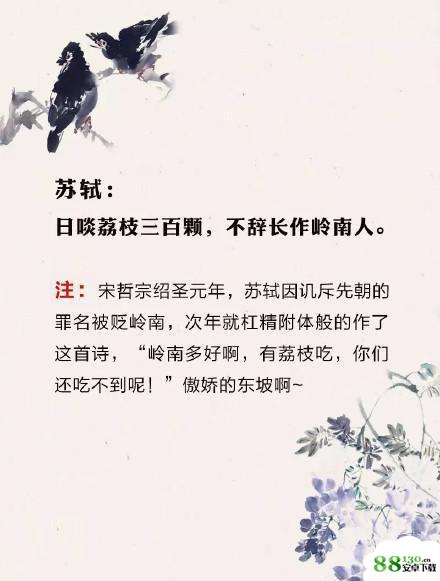 古代杠精哪家强是什么梗|古代杠精哪家强是什么意思