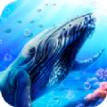 蓝鲸海洋生物模拟3D游戏