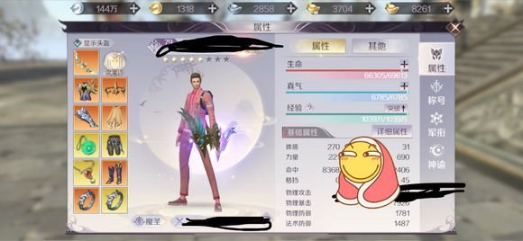 完美世界手游芒果带什么宝宝好