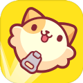 皮皮猫破