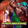 Real KickBoxing Fight